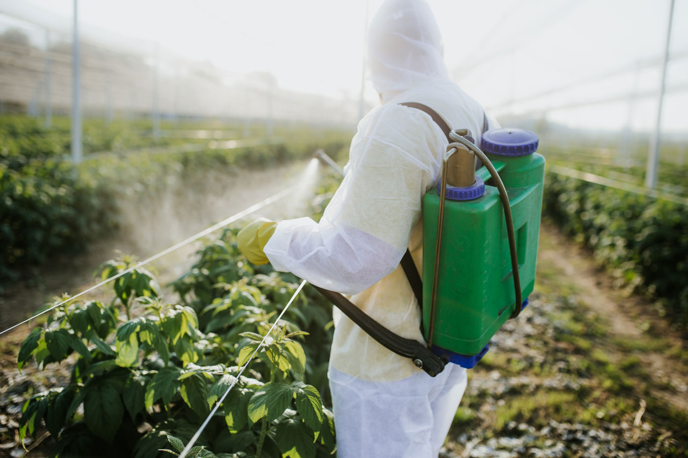 iranianagriculturalnewsagency.com Iran’s agricultural department ( Ministry of Agriculture -  Jihad ) is formulating a large-scale strategy to combat the swarms of desert locusts’ attack.  