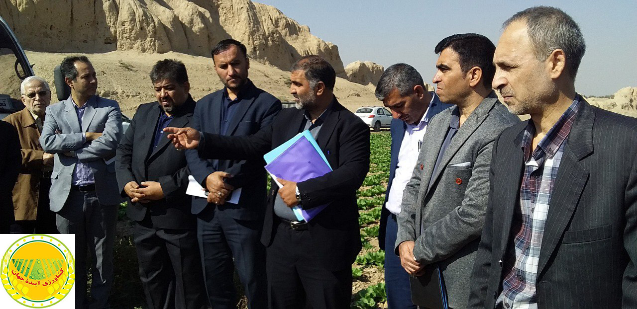 اخبار کشاورزی: ورامین؛ روند رشد یابنده یکپارچه سازی و تجمیع اراضی برای جلوگیری از خرد شدن اراضی