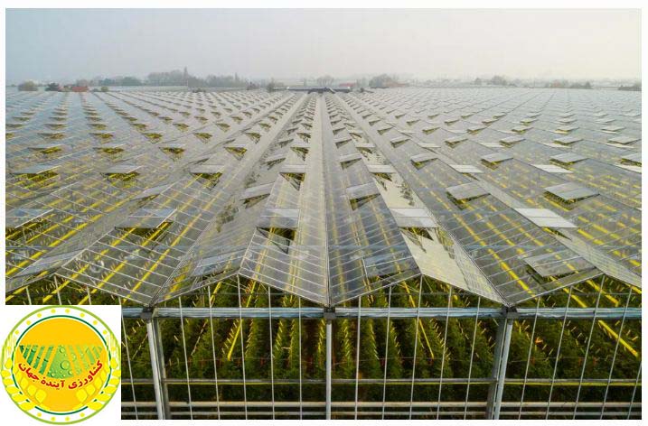 nouri-ghazeljeh-le-développement-des-serres-est-la-solution-fondamentale-pour-surmonter-la-crise-de-l’eau