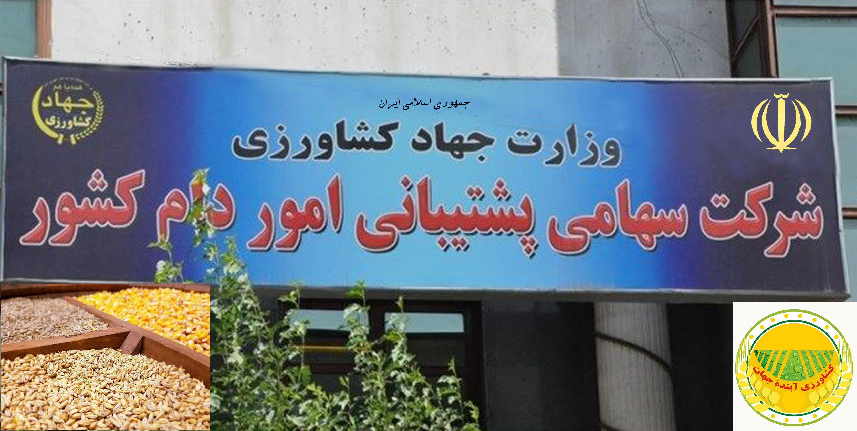حمایت-از-دامداران-با-عرضه-۴-هزار-تن-نهاده-دامی؛-فروش-جو-و-کنجاله-سویا-به‌صورت-اعتباری-سه‌ماهه