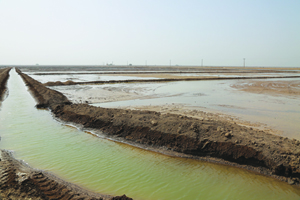 خوزستان 01