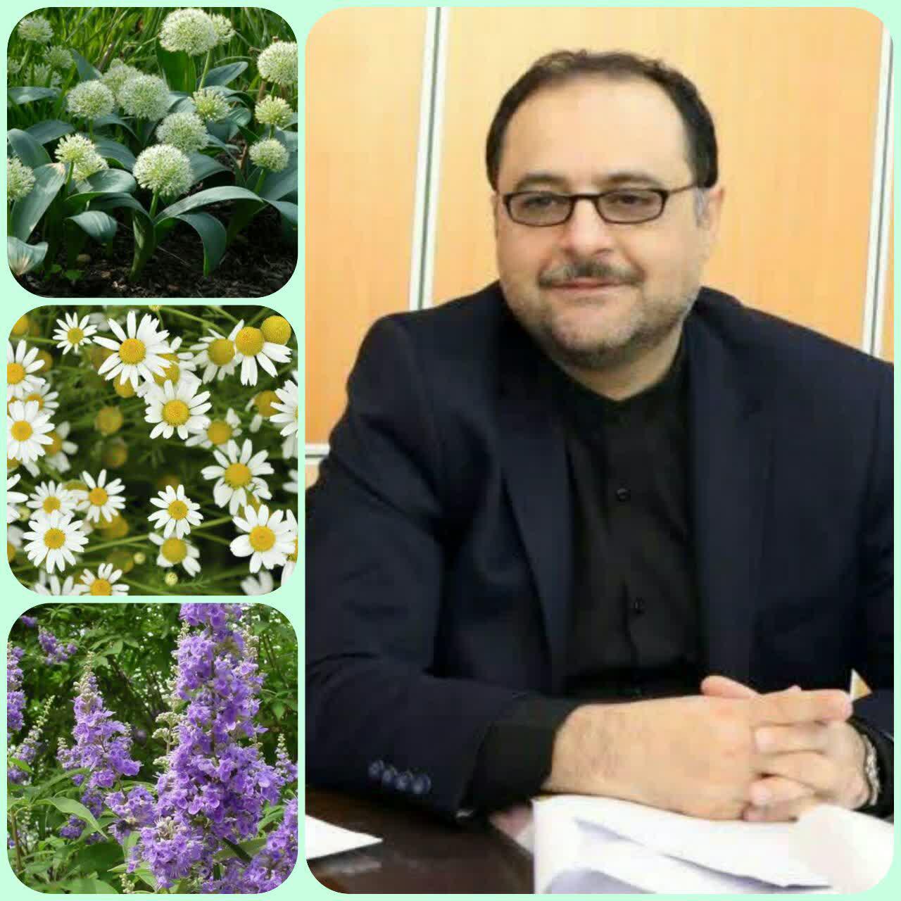 شیرززاد