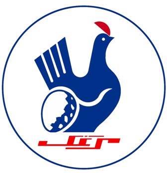 لوگوی-مرغک