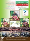 ماهنامه شماره 191